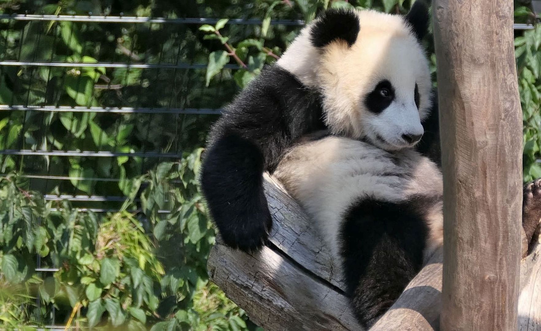 Zoo Berlin  