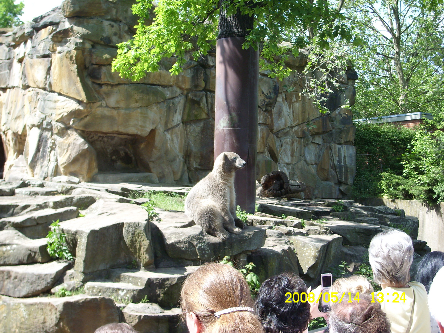 Zoo Berlin