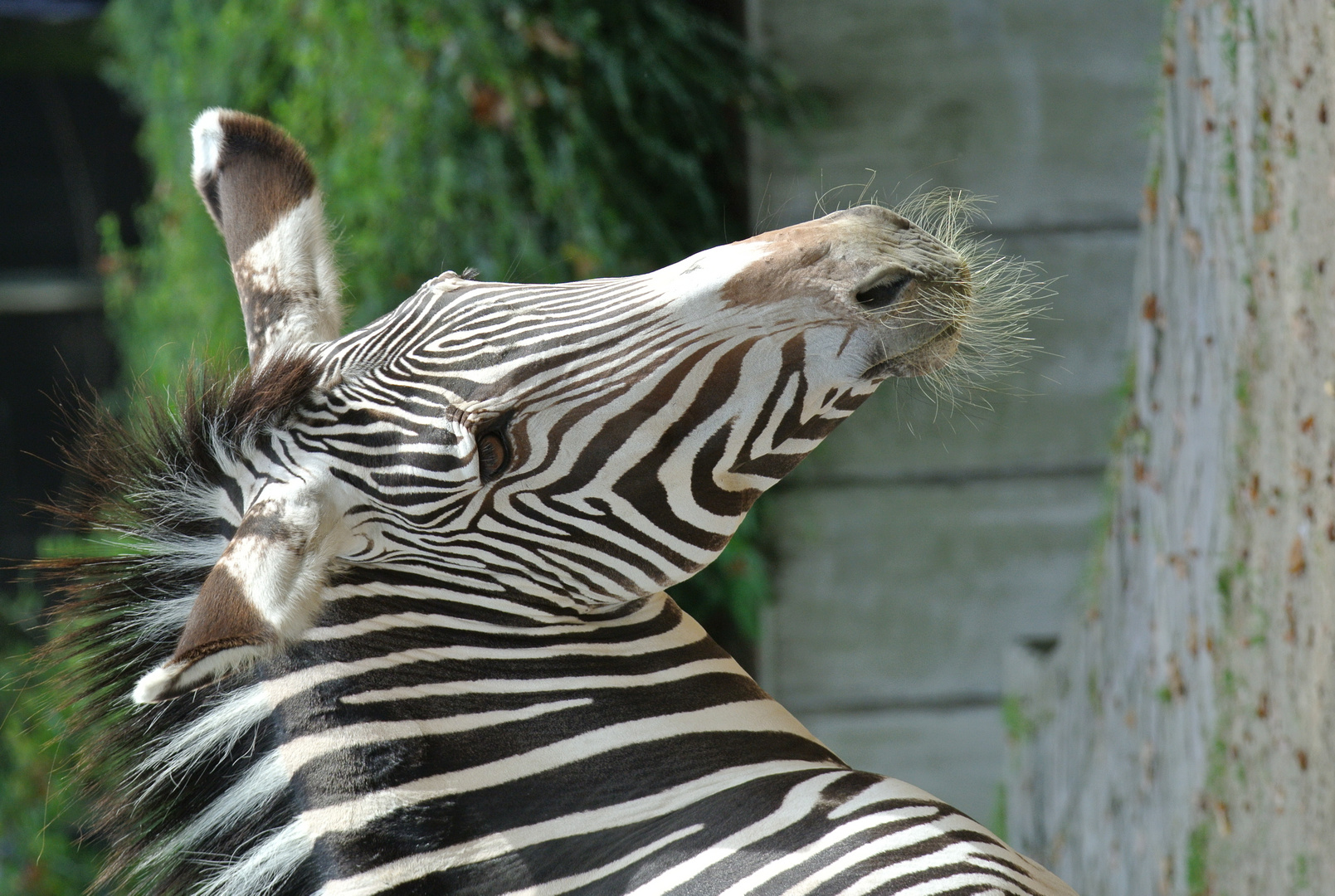 Zoo Berlin