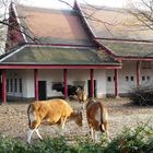 Zoo Berlin