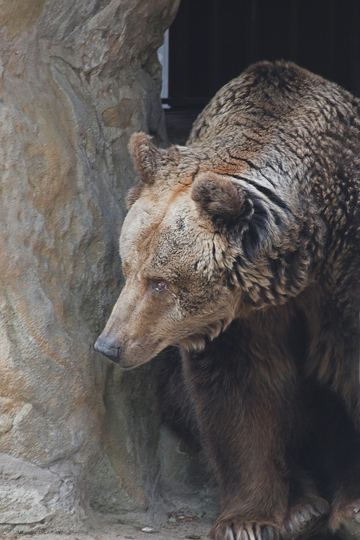 Zoo Berlin