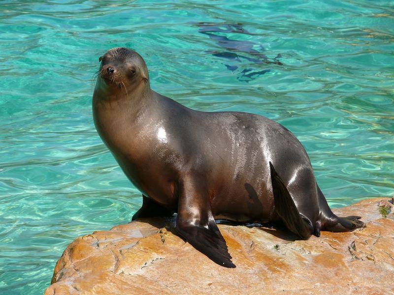 zoo berlin