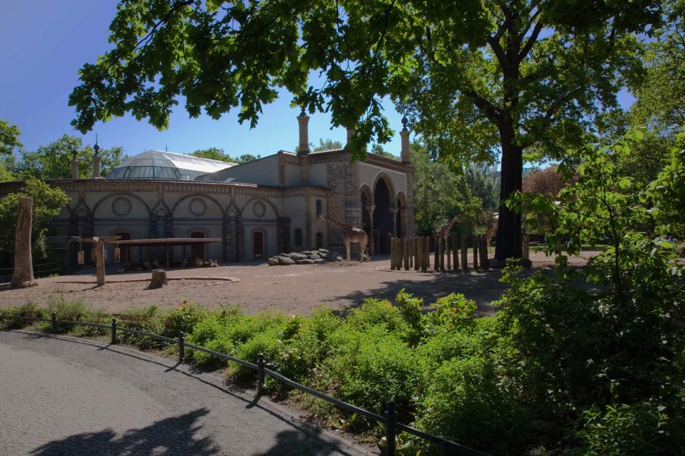 Zoo Berlin - Giraffenhaus