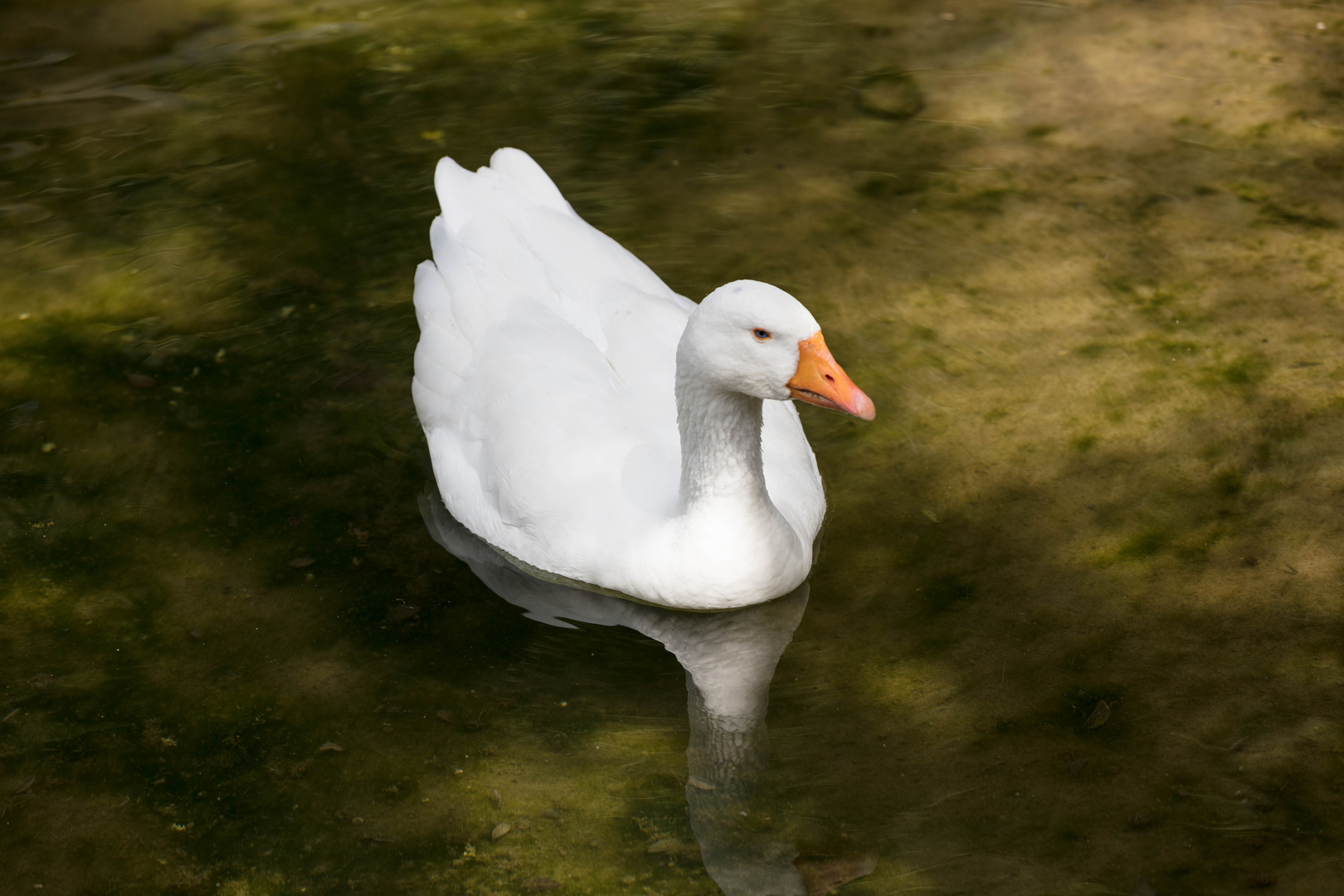 Zoo Bern