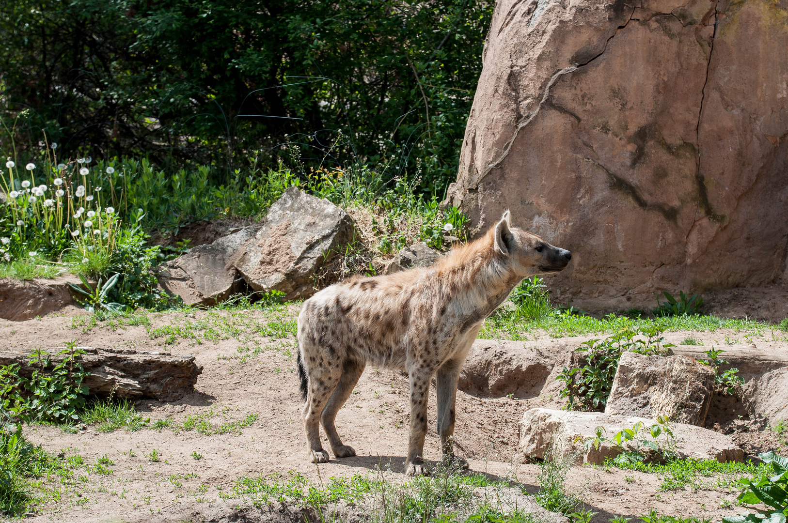 Zoo-Besuch 6