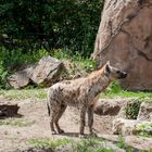 Zoo-Besuch 6