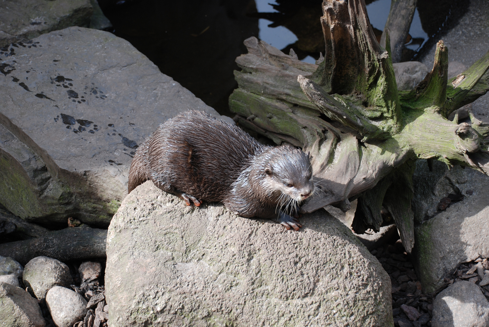 Zoo besuch