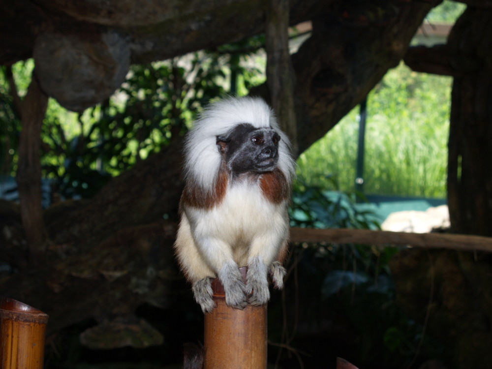 zoo besuch