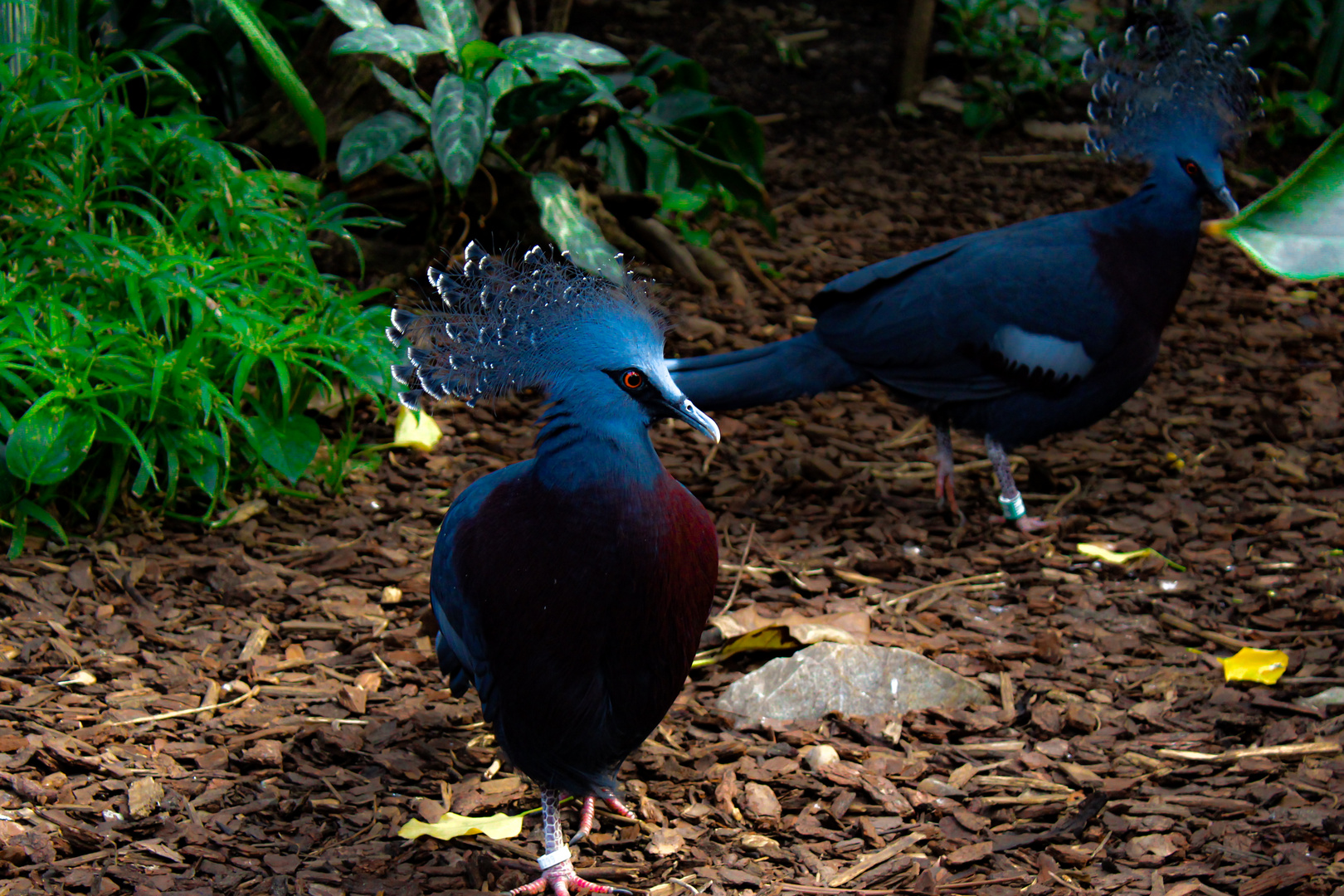 Zoo Besuch 