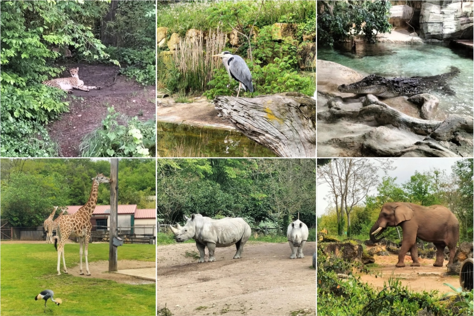 Zoo d'Amneville, Lorraine, France 