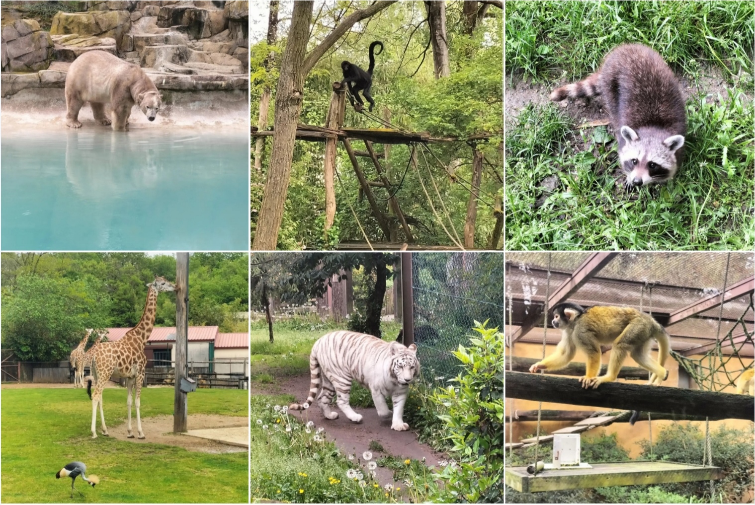 Zoo d'Amneville, Lorraine, France 