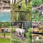 Zoo d'Amneville, Lorraine, France 