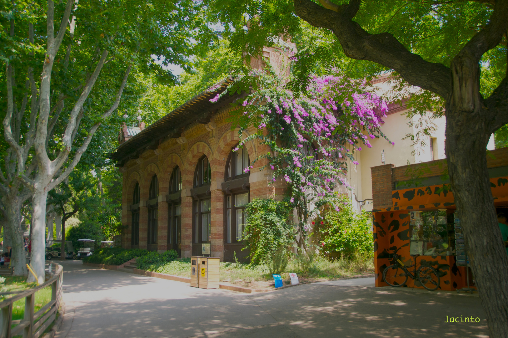 ZOO de ( BCN ) 4