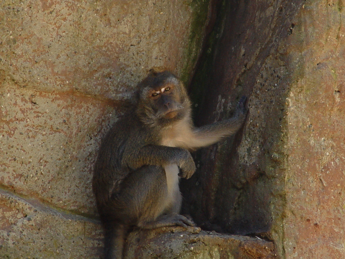 zoo de bâle