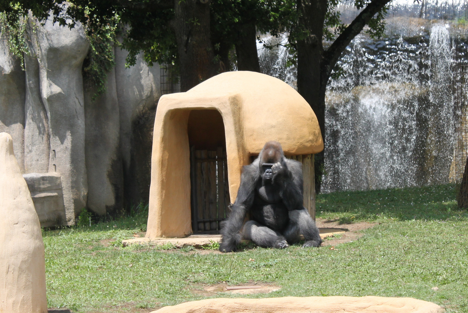 ZOO DE LA PALMYRE 2