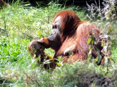 Zoo Dortmund 3