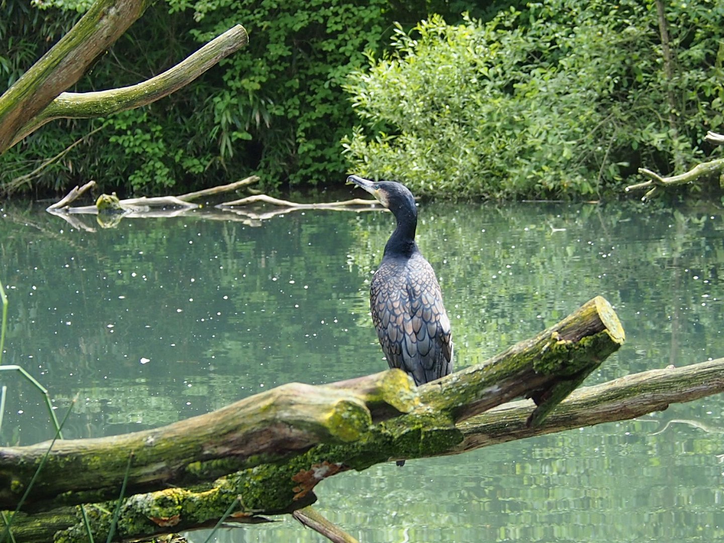 zoo dortmund