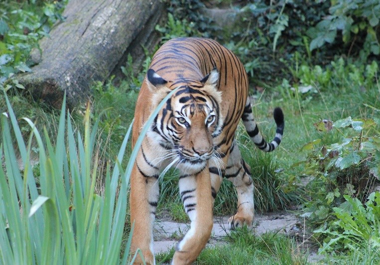 Zoo Dortmund