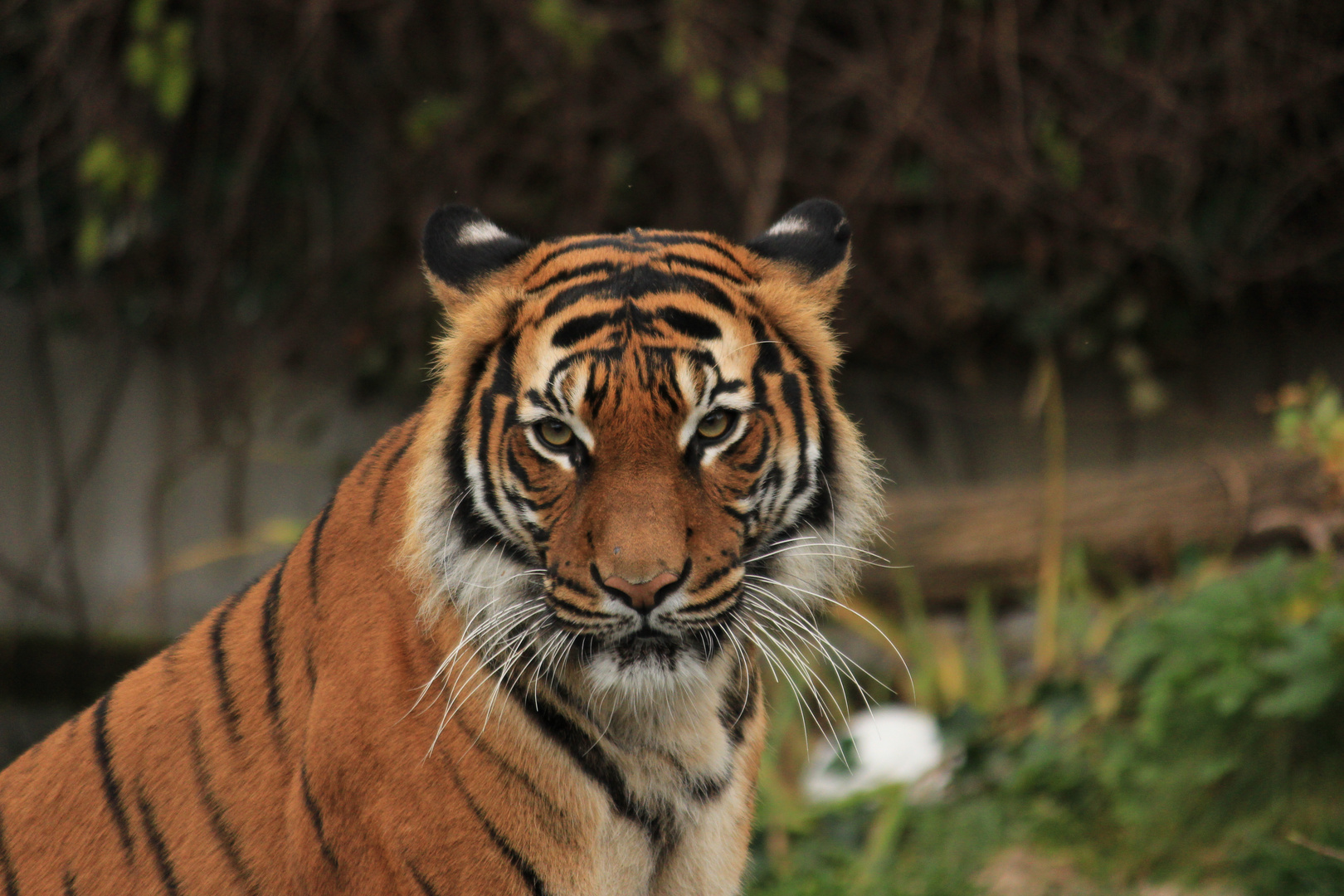 Zoo Dortmund