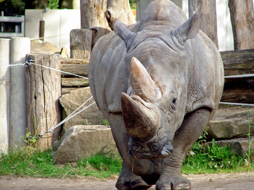 Zoo Dortmund