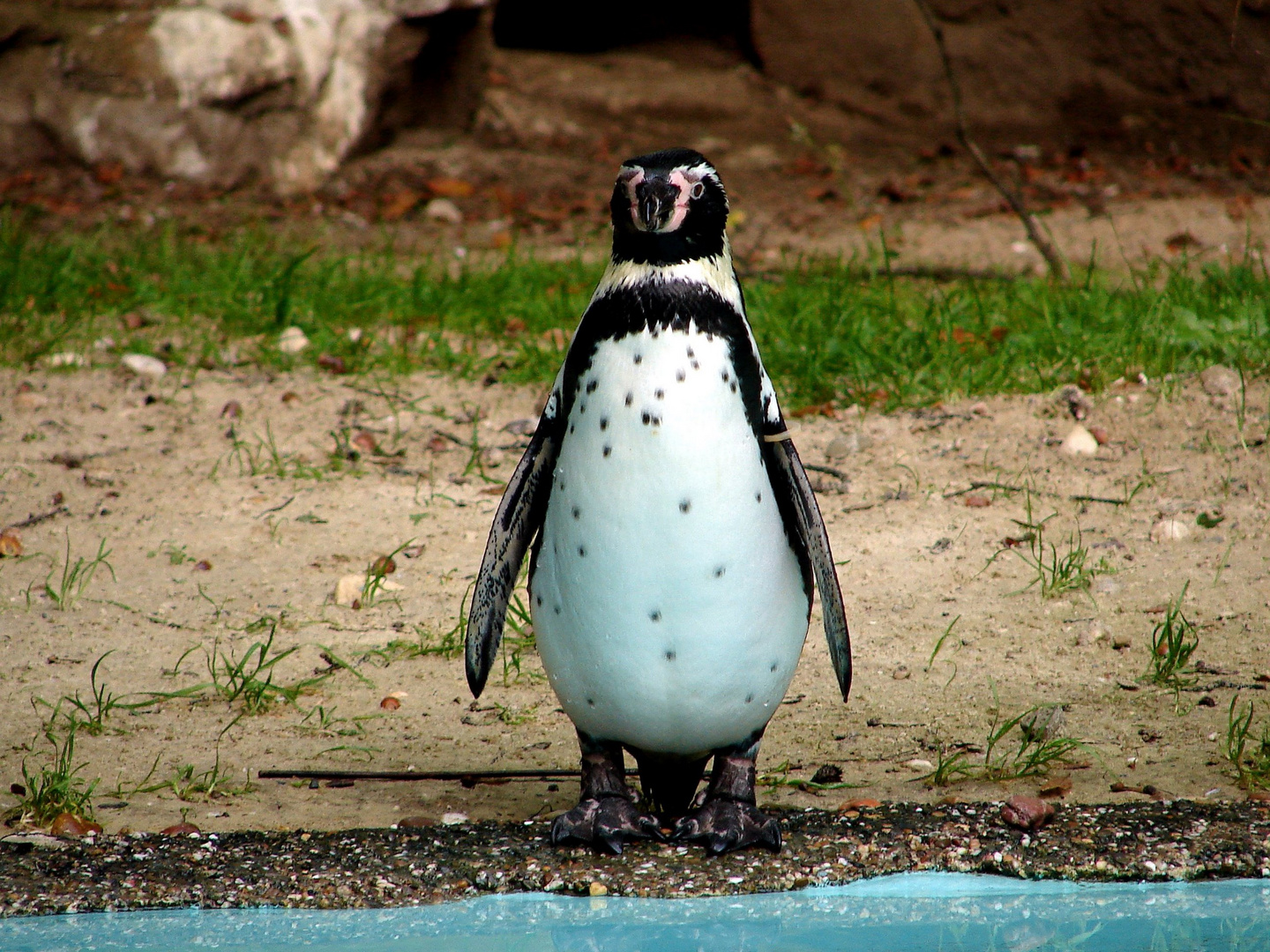 Zoo Dortmund I