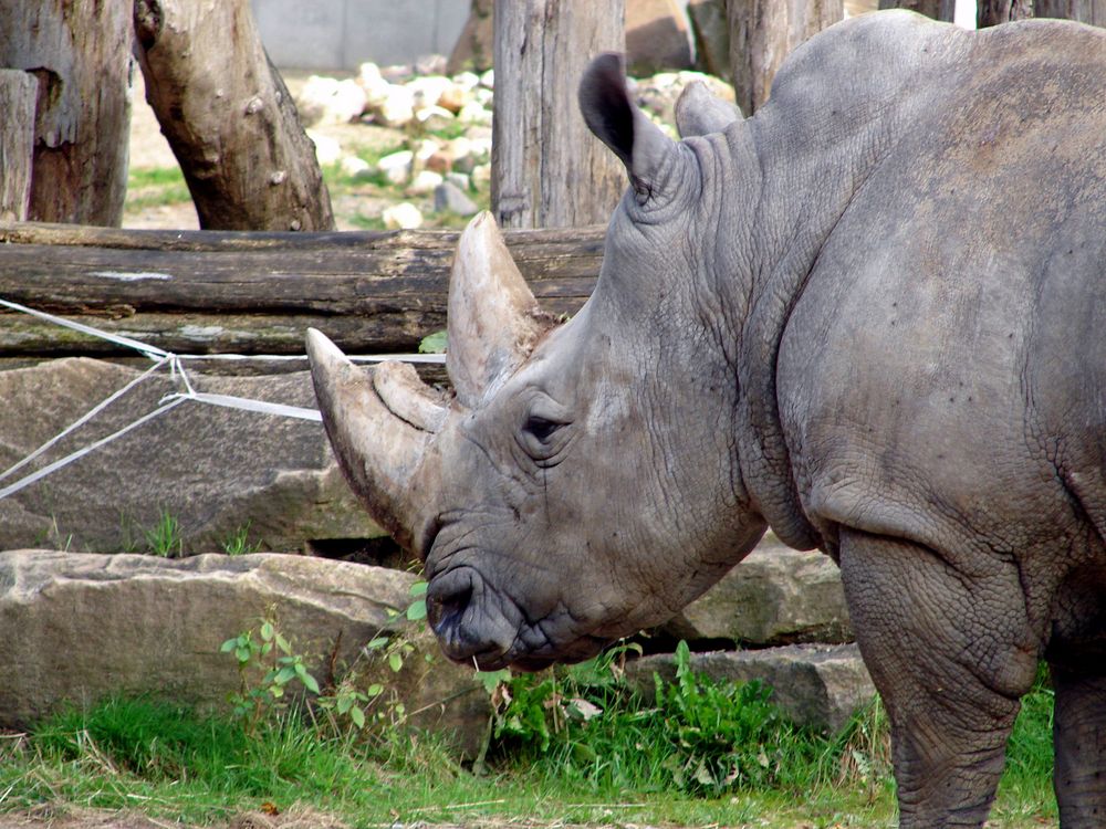 Zoo Dortmund II