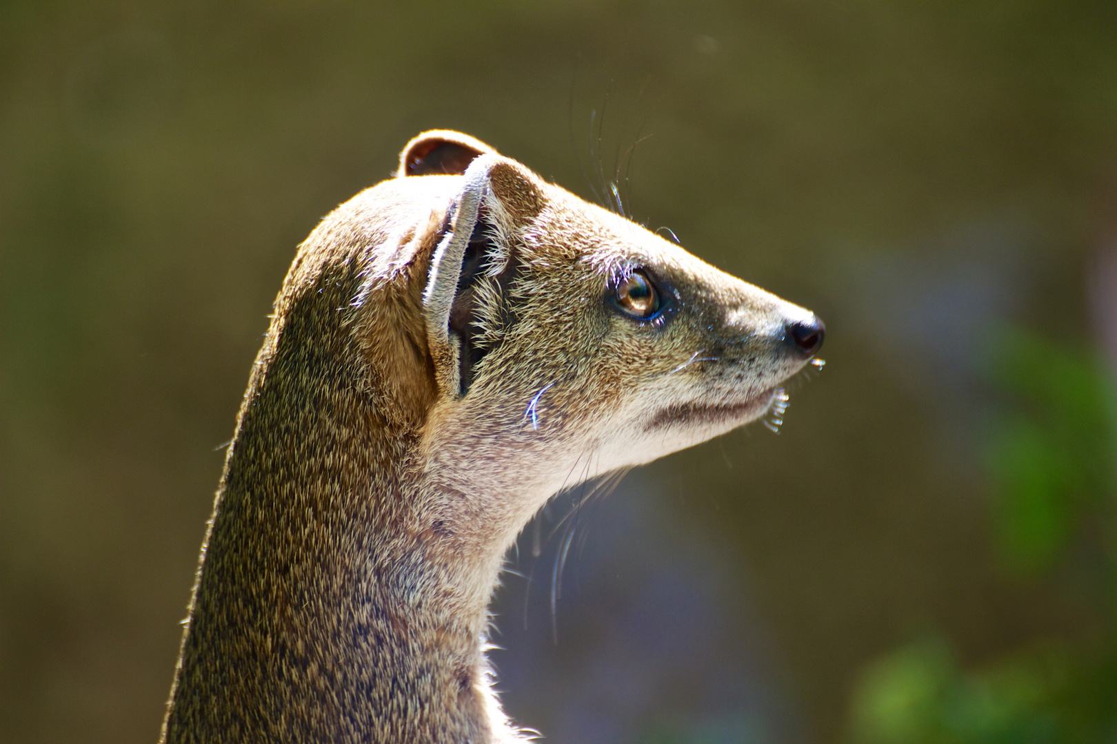 Zoo Dortmund III