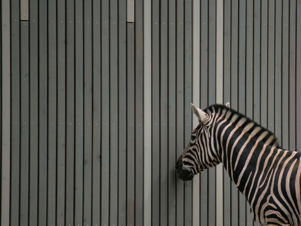 Zoo Dresden 7