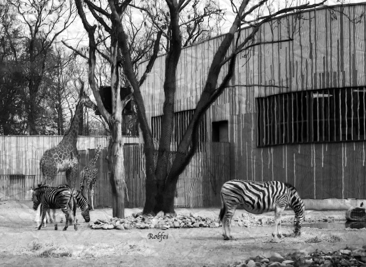 Zoo Dresden