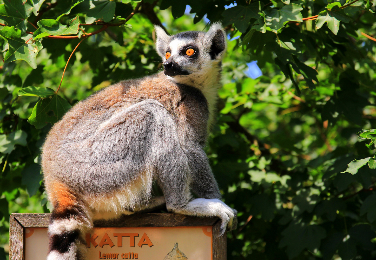 Zoo Dresden