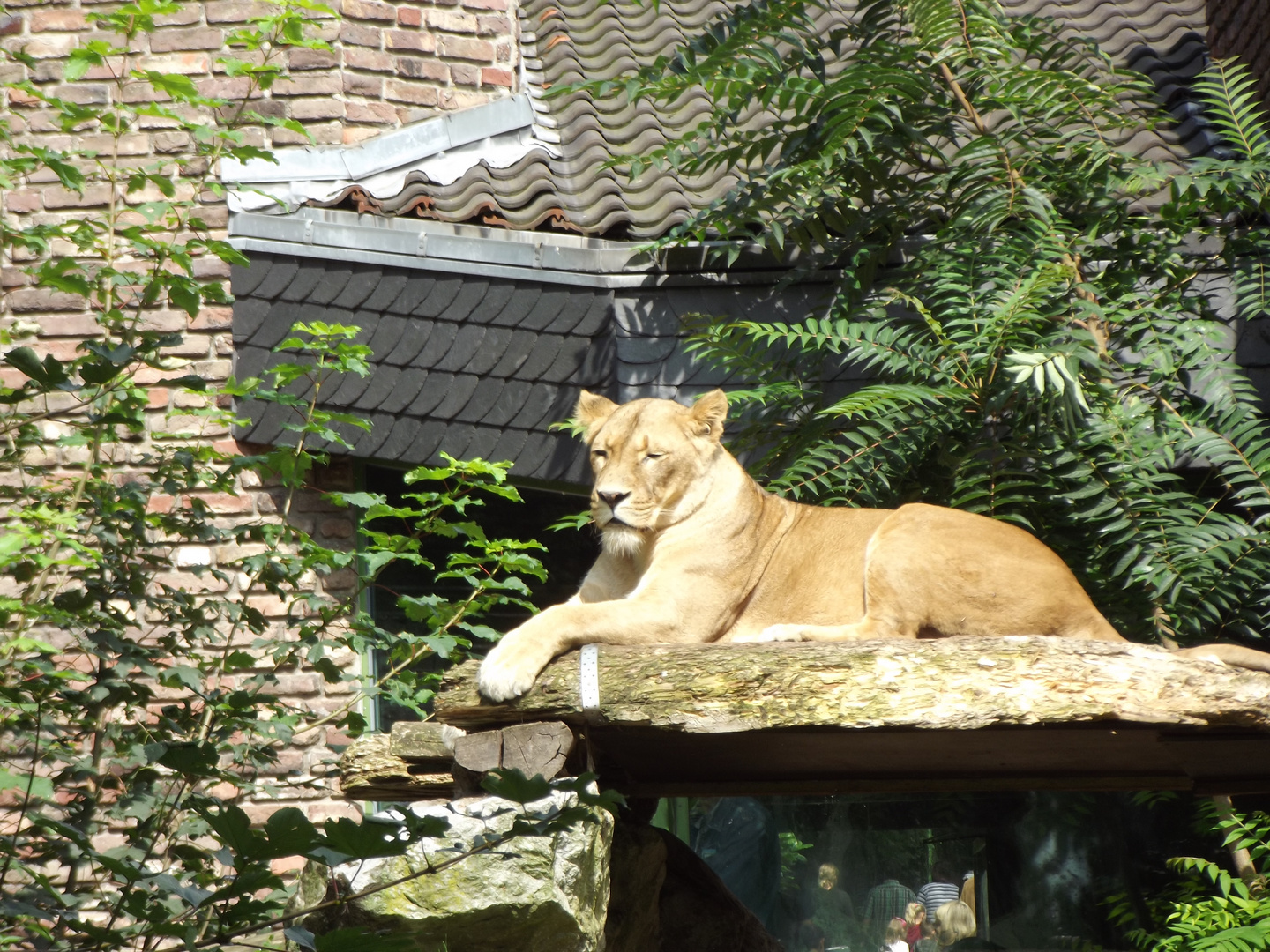 Zoo Duisburg