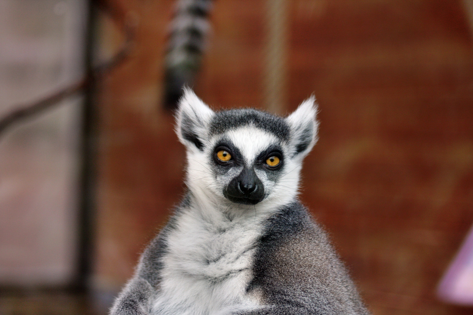 Zoo Duisburg