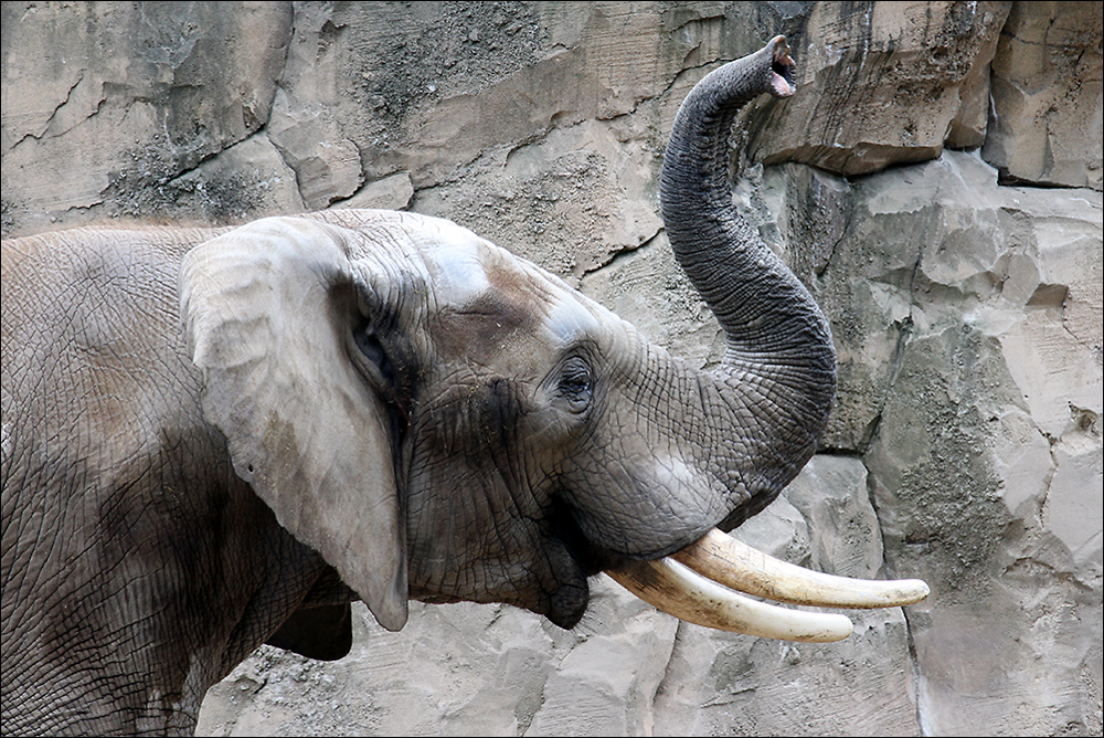 ZOO Duisburg