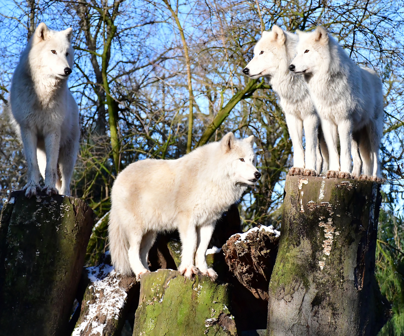 Zoo Duisburg (14)