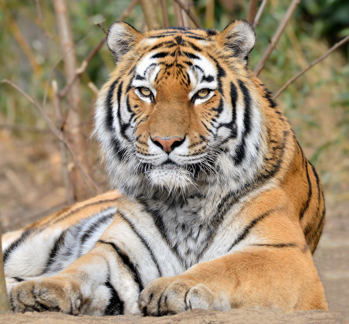 Zoo Duisburg (17)