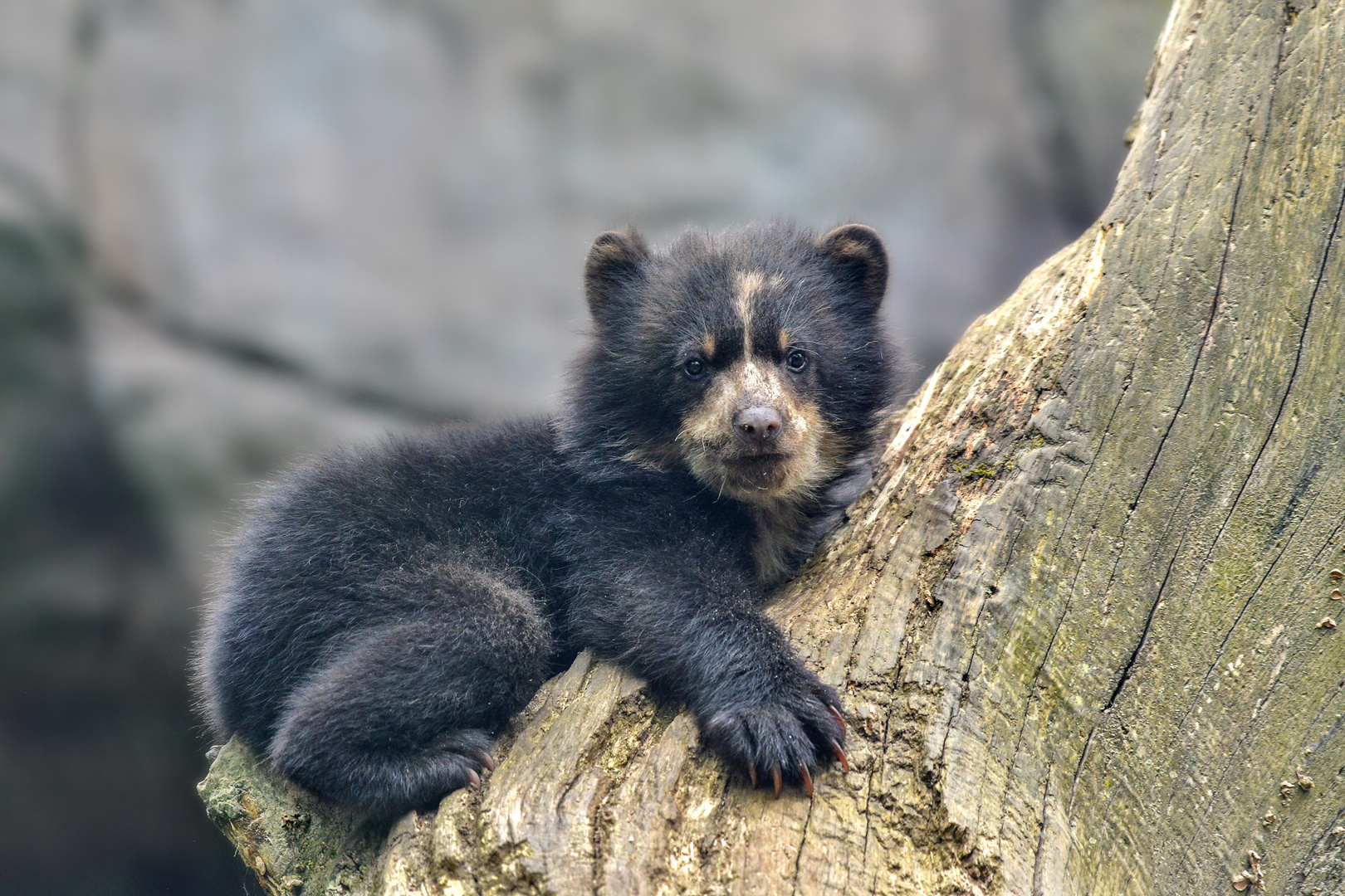 Zoo Duisburg (18)