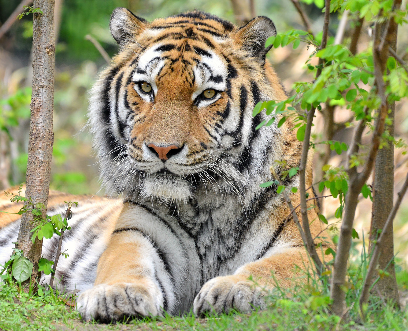 Zoo Duisburg (19)