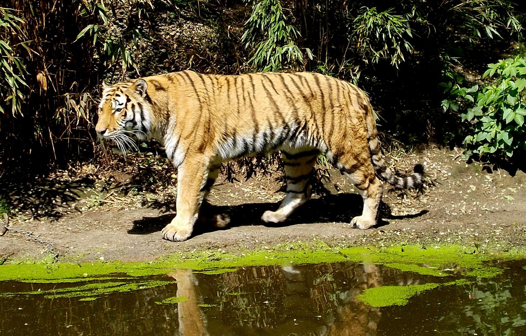 Zoo Duisburg