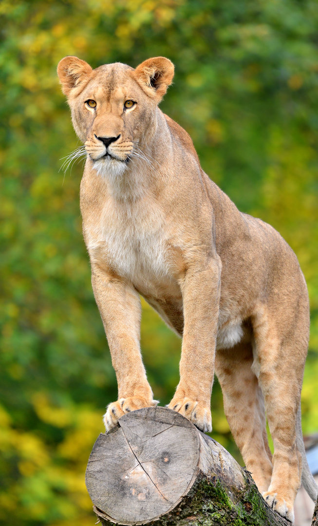 Zoo Duisburg (2)