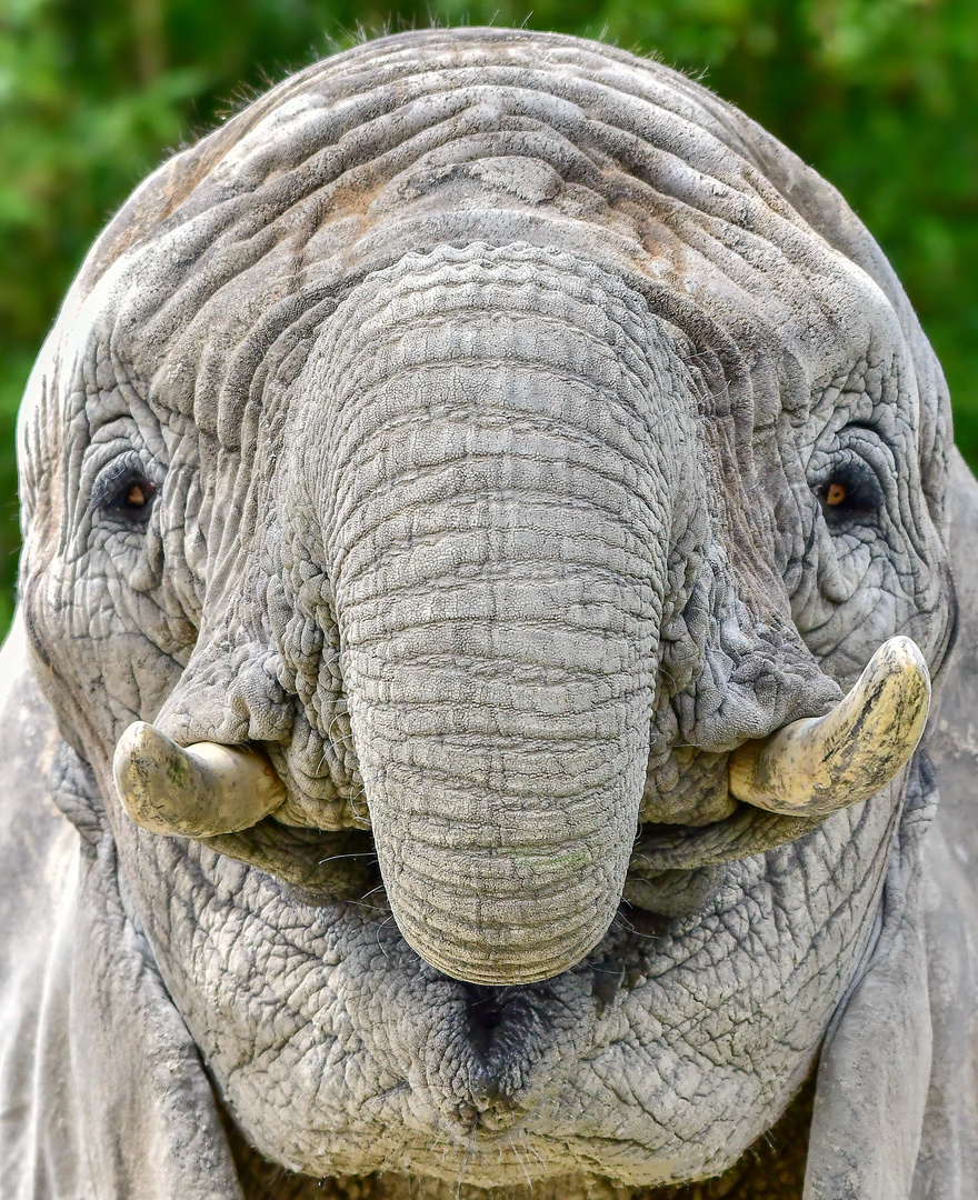 Zoo Duisburg (26)