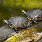 Zoo Duisburg 3