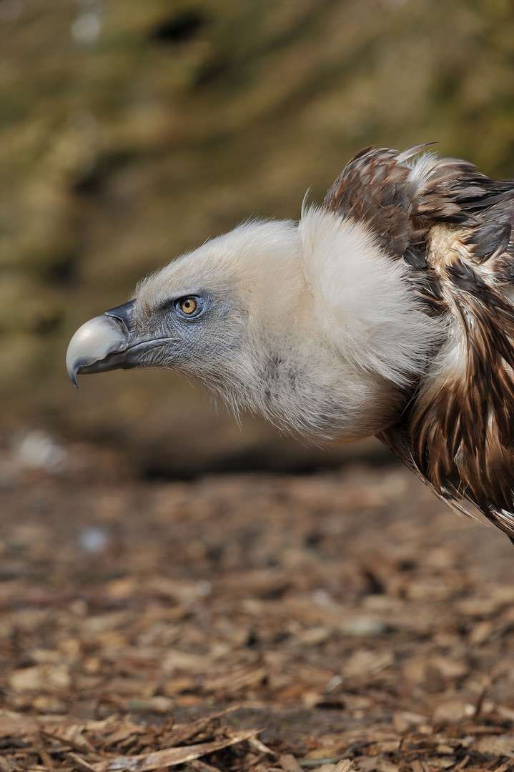 Zoo Duisburg 3