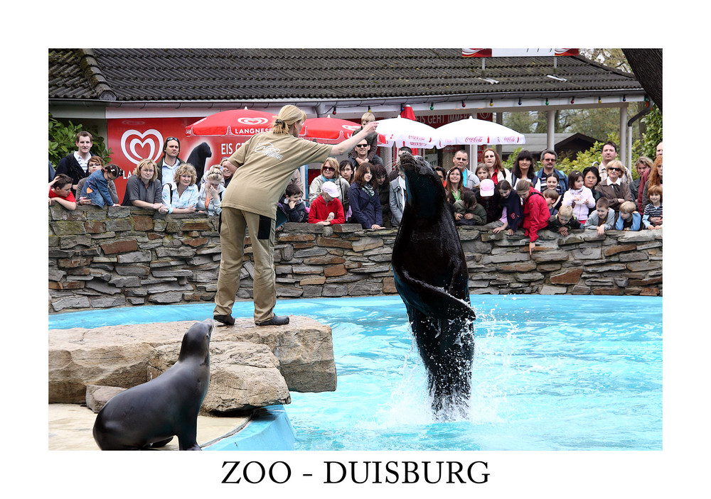 ZOO - DUISBURG 3