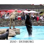 ZOO - DUISBURG 3