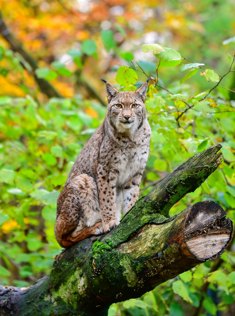 Zoo Duisburg (4)