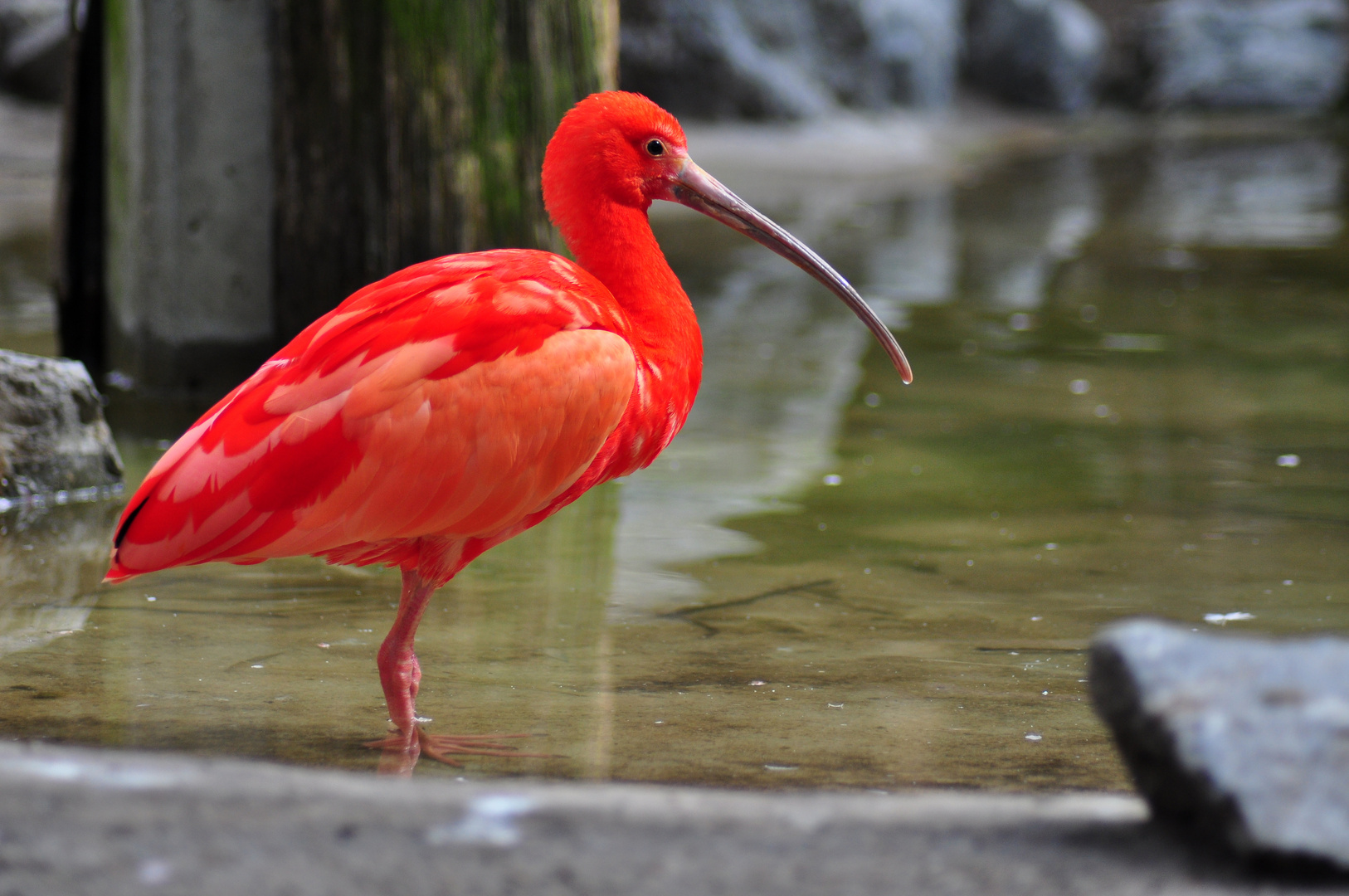 Zoo Duisburg 4