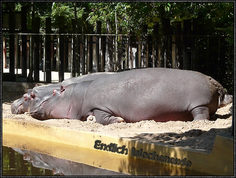 Zoo Duisburg