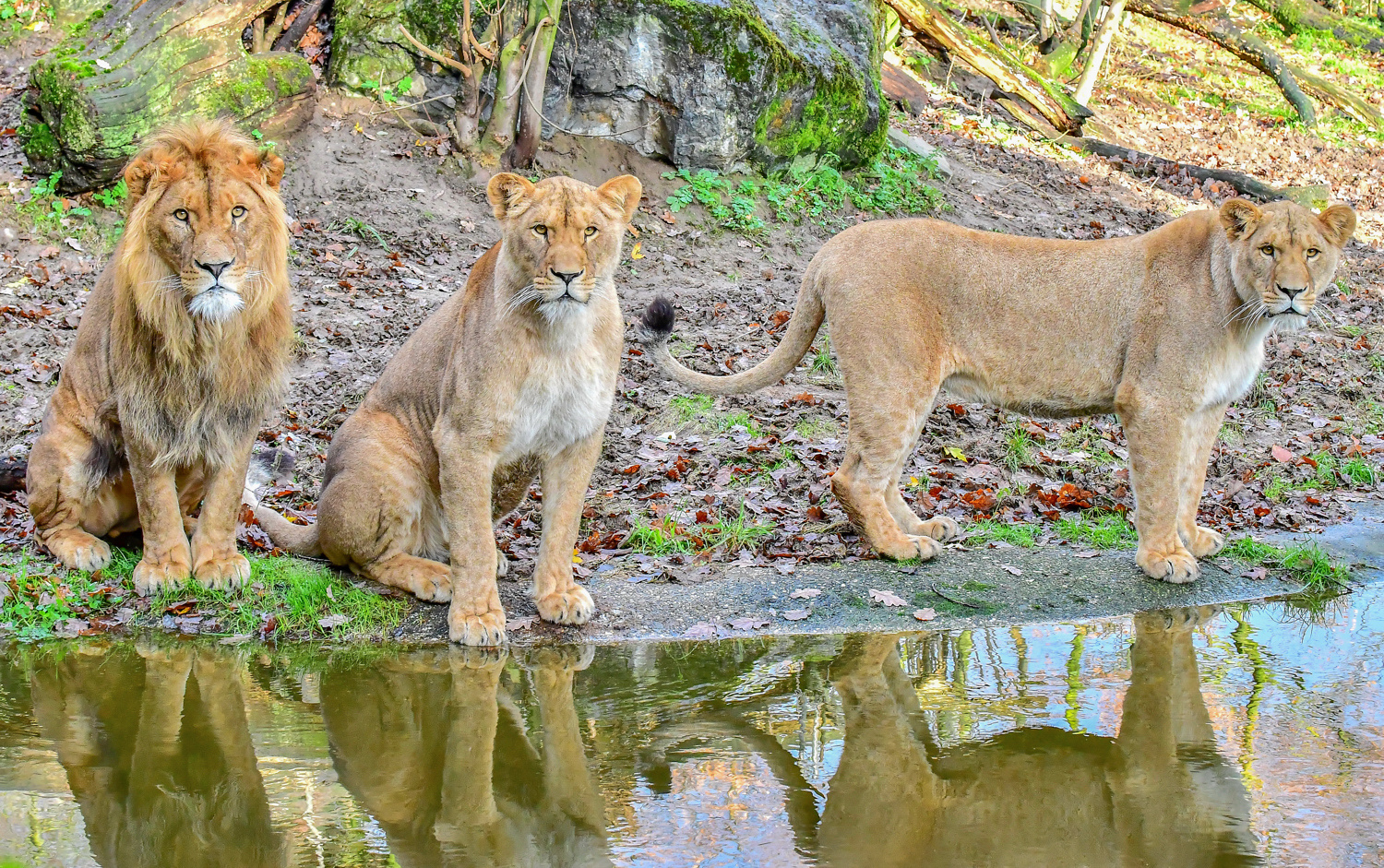 Zoo Duisburg (5)