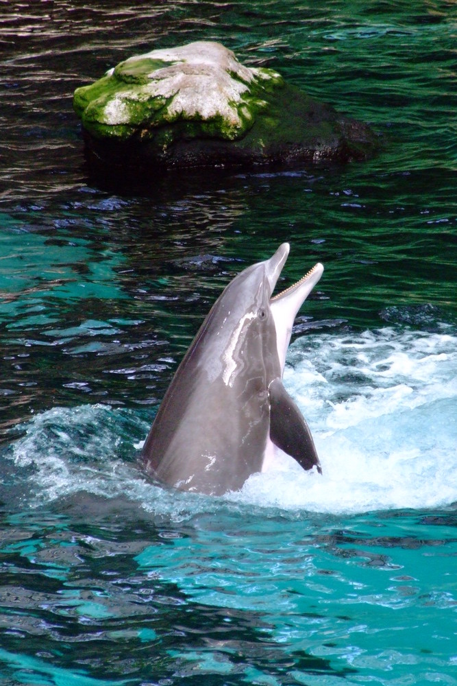 Zoo Duisburg