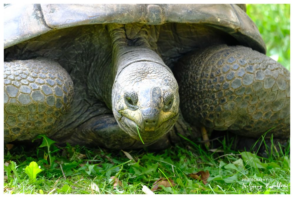 Zoo Duisburg